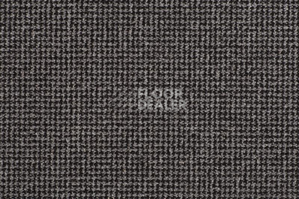 Ковролин Timzo Hercules 1429 фото 1 | FLOORDEALER
